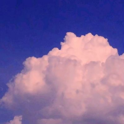 皇冠体育手机版