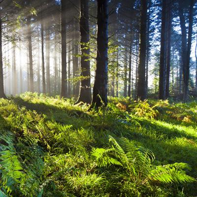 ob体育最新官网app下载