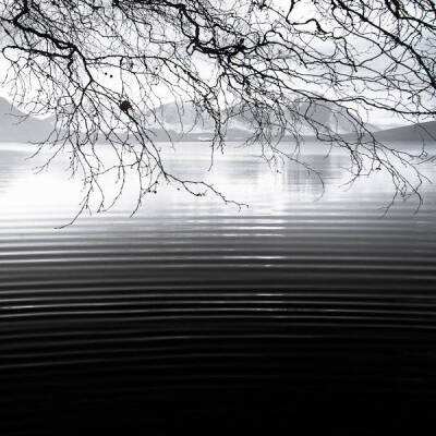 乐鱼游戏app在线登录手机app下载截图