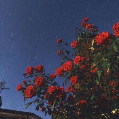 金沙8888js官方app下载