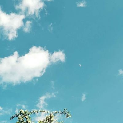 幸运28下载手机版